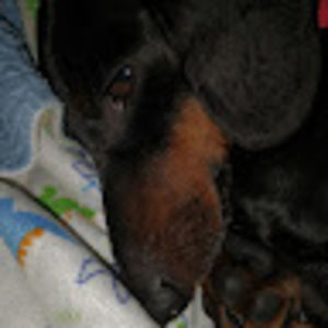 Meet your Posher, Mckenzie